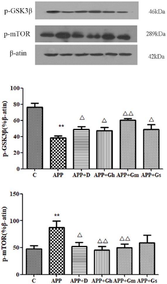 Figure 6.