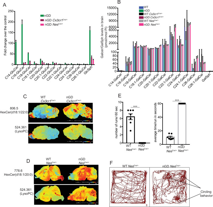 Figure 2—figure supplement 2.