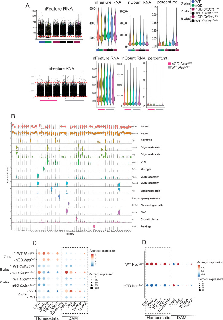 Figure 5—figure supplement 1.