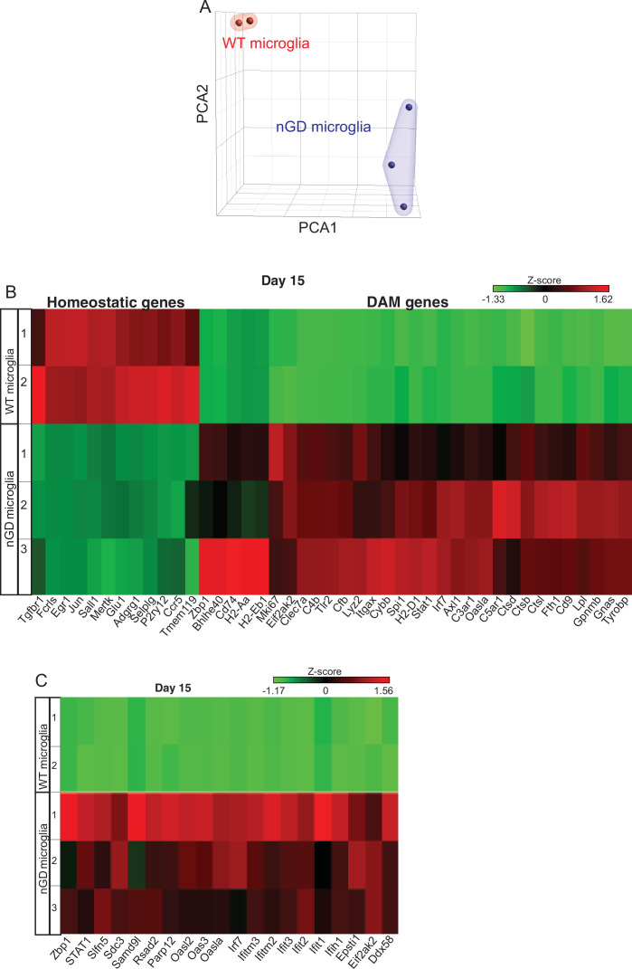 Figure 1—figure supplement 2.