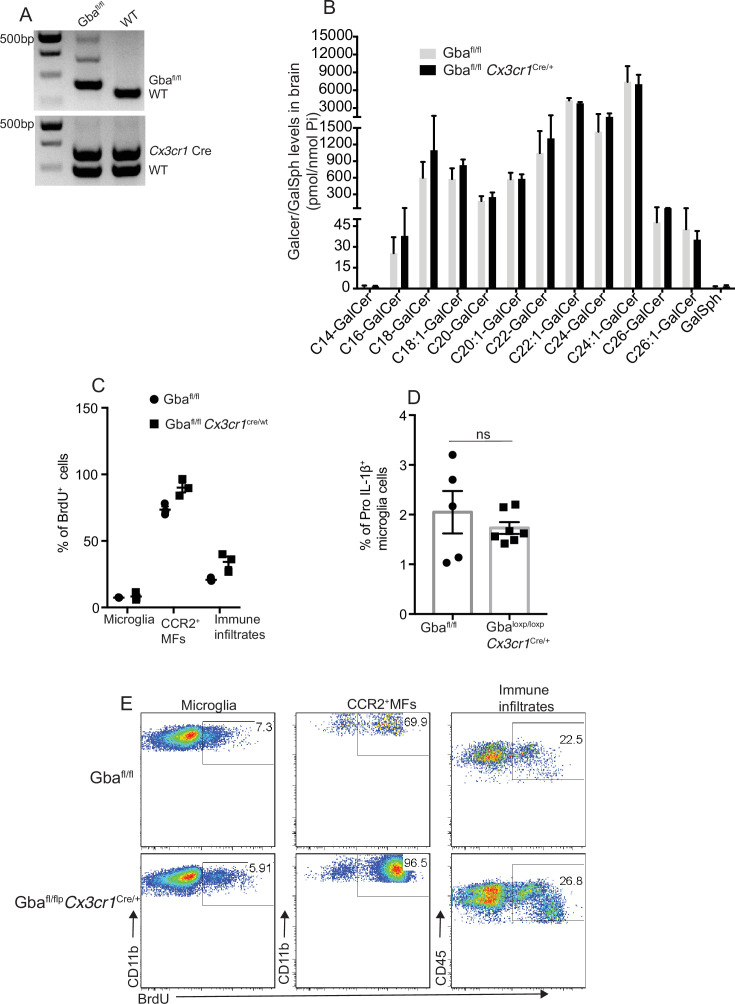 Figure 3—figure supplement 1.