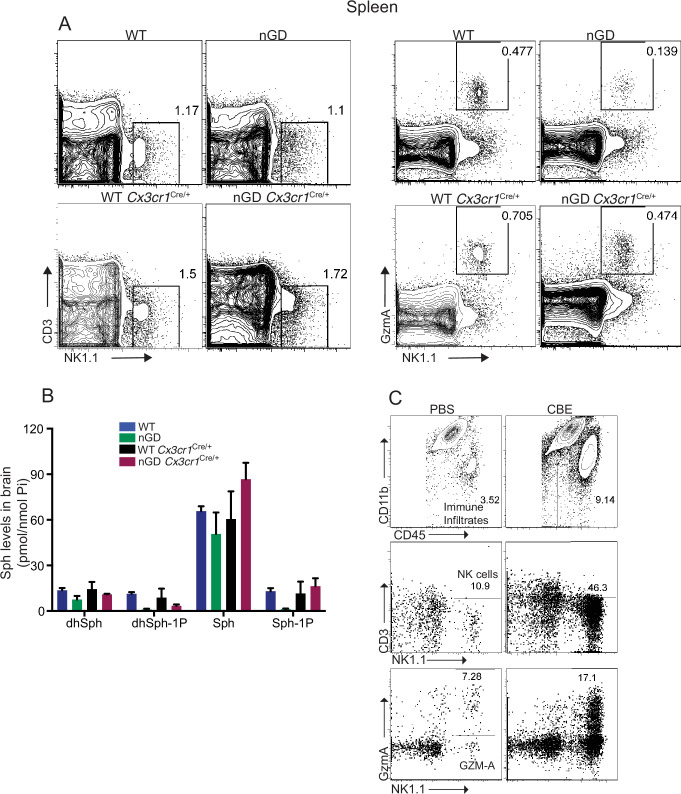 Figure 4—figure supplement 1.