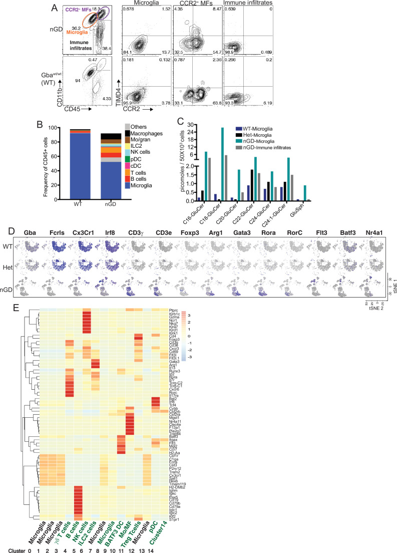 Figure 1—figure supplement 1.