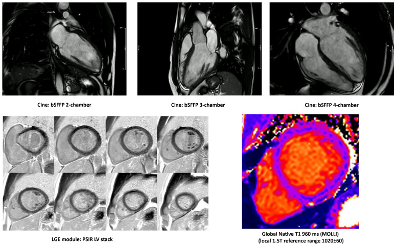 Fig. 4.