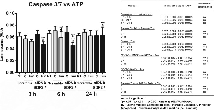 FIG. 6