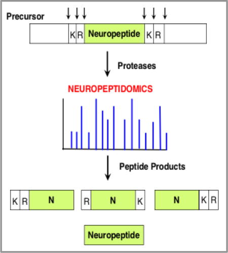 graphic file with name nihms960726u1.jpg