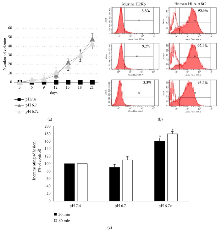 Figure 6