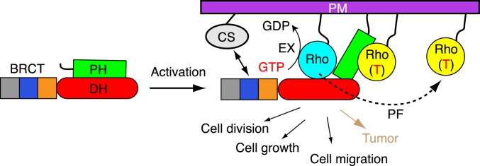 Fig. 6.