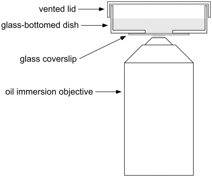 Fig. 13