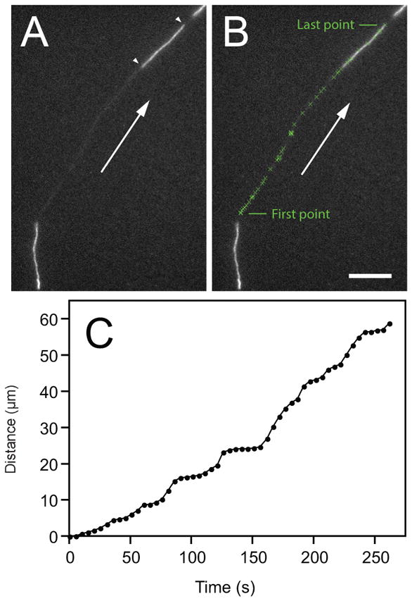 Fig. 16