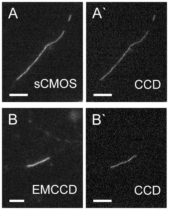 Fig. 14