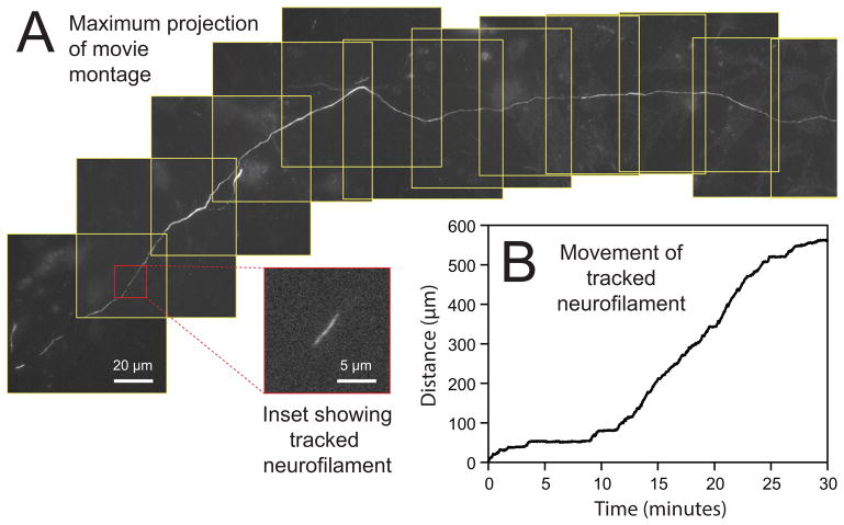 Fig. 17