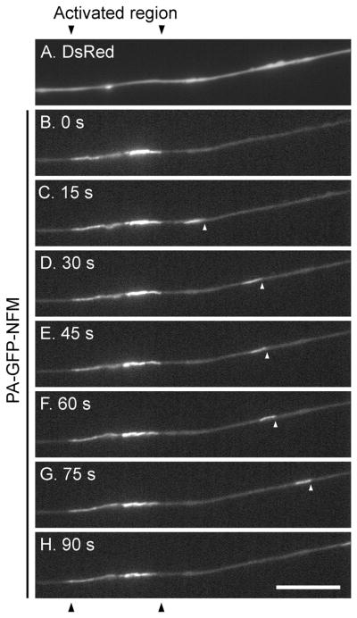 Fig. 11