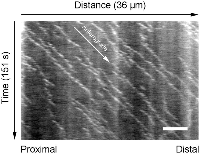 Fig. 15