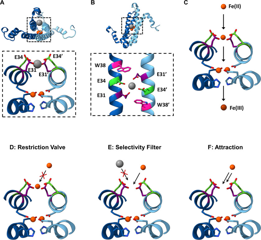 Figure 2.