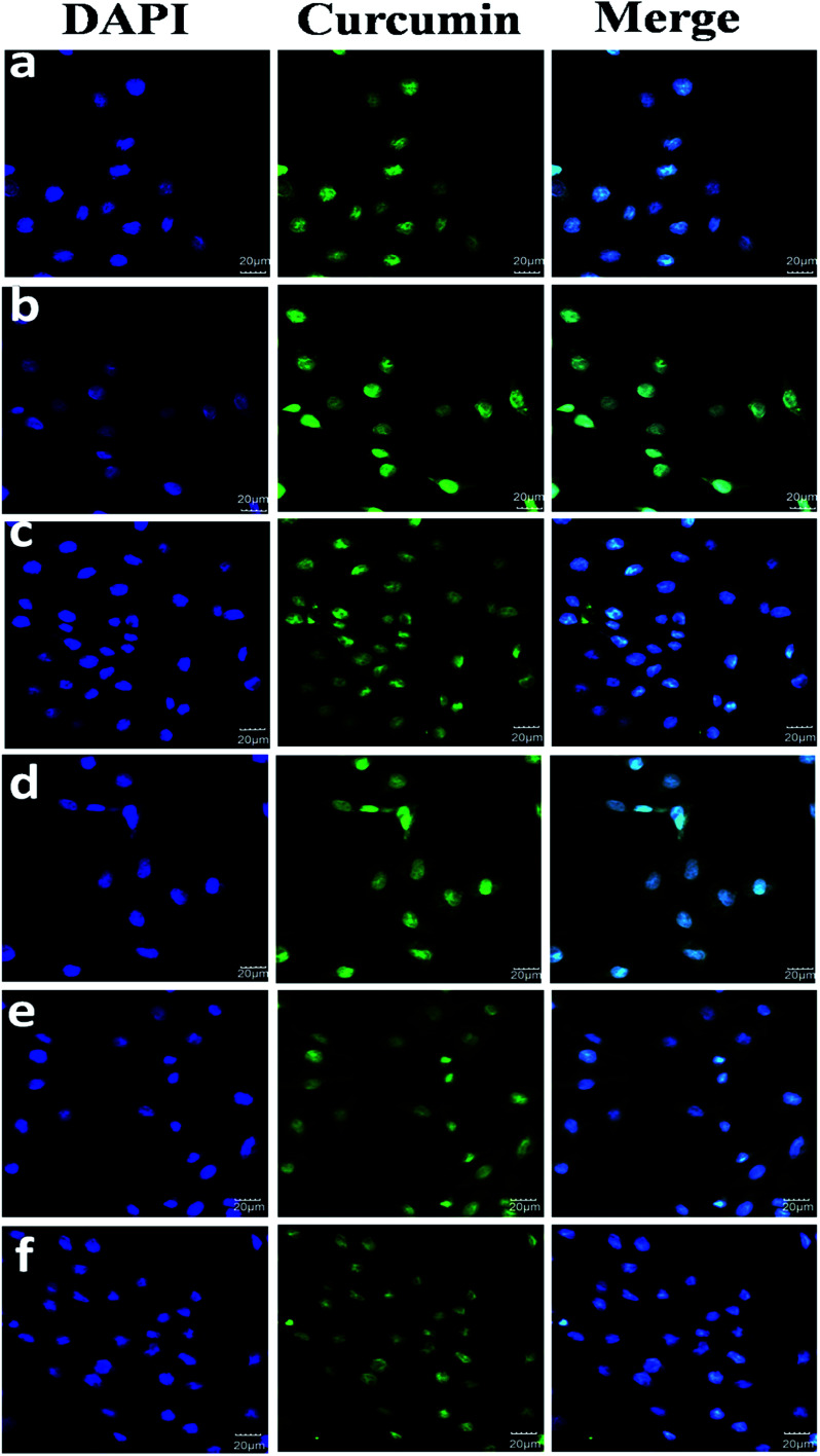 Fig. 11