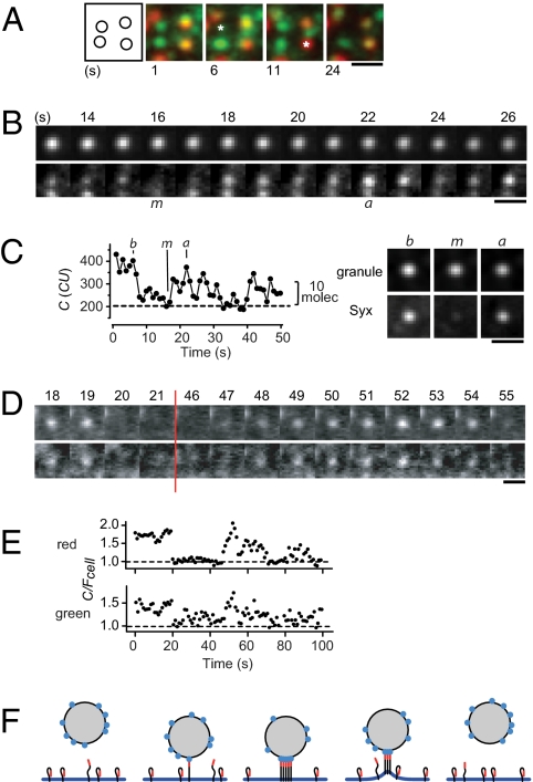 Fig. 4.