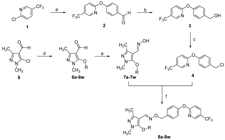 Scheme 1