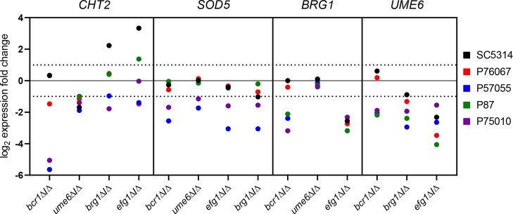 Fig 5