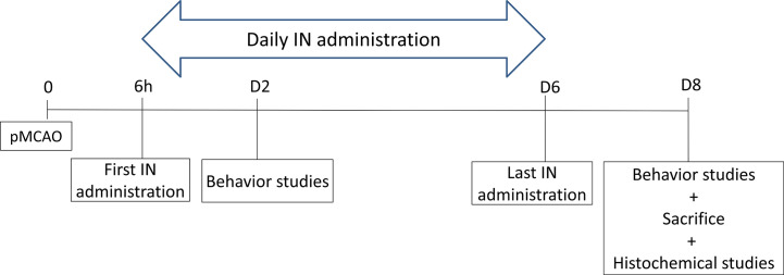 Scheme 4