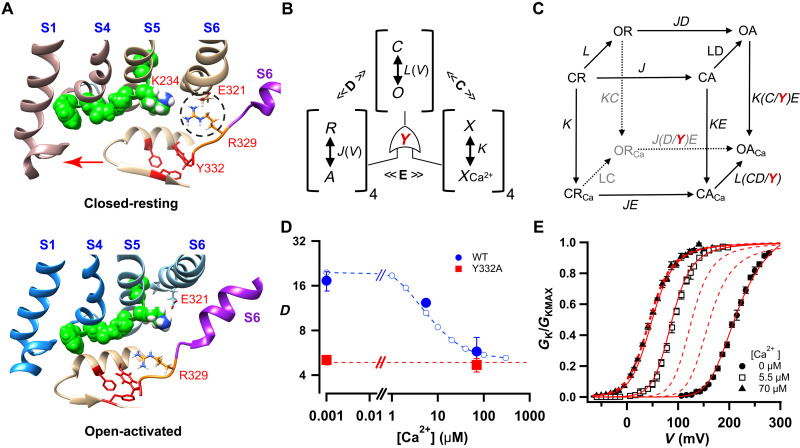 Fig. 7.
