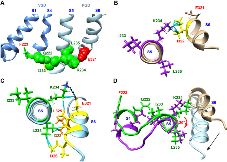 Fig. 3.