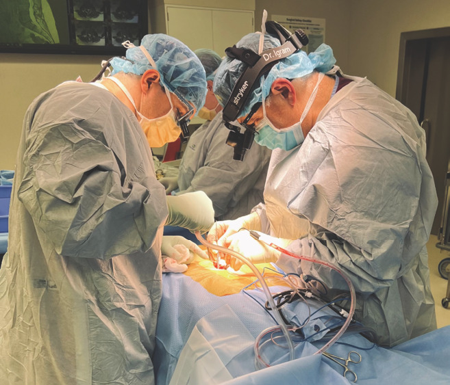 graphic file with name IOJ-2024-v-f4.jpg