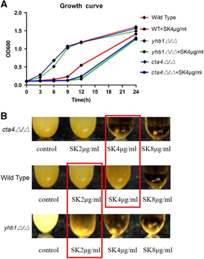 Figure 4