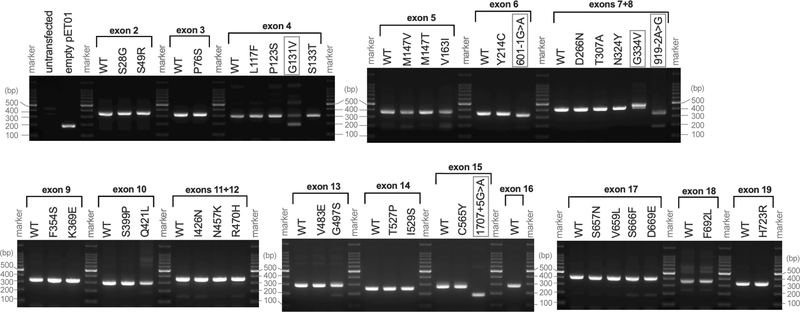 Figure 6.