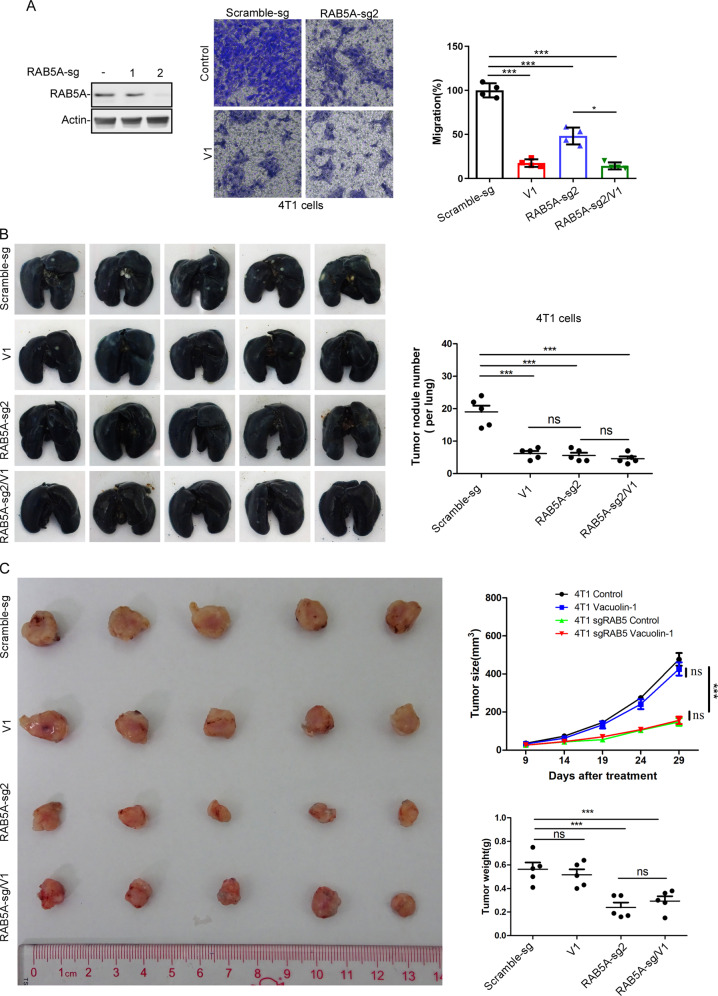 Fig. 10