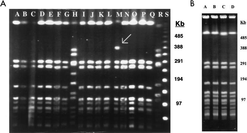 FIG. 1