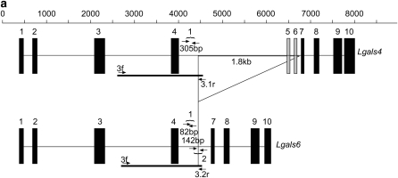 Figure 1.—