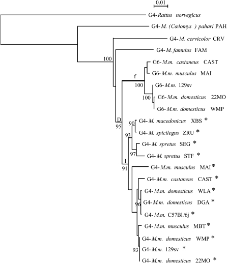 Figure 4.—