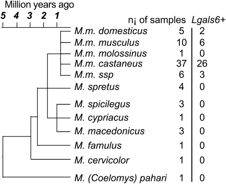 Figure 2.—