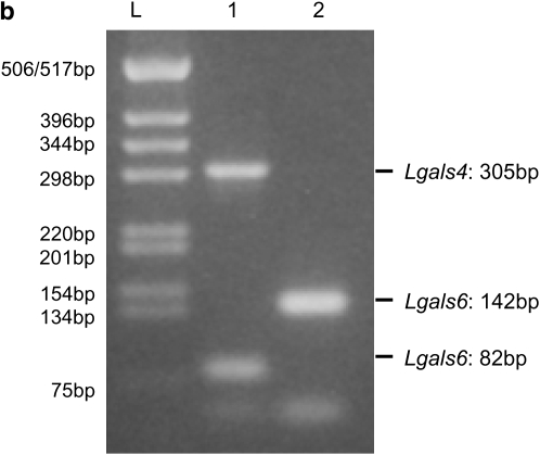 Figure 1.—