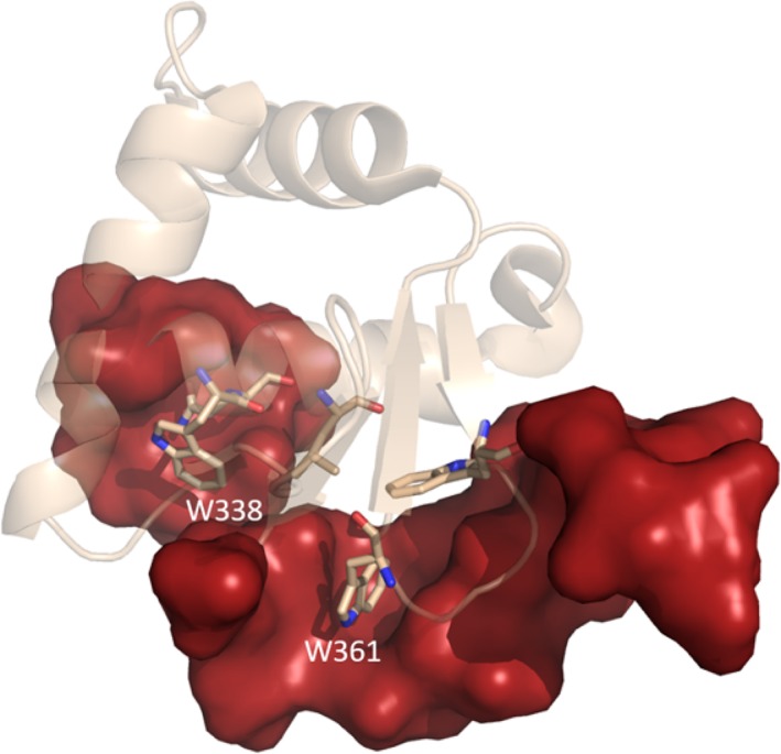 Figure 6