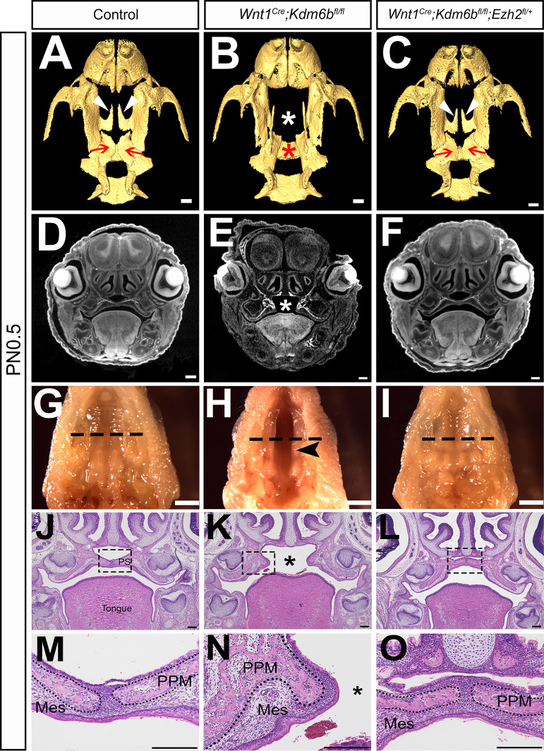 Figure 6.