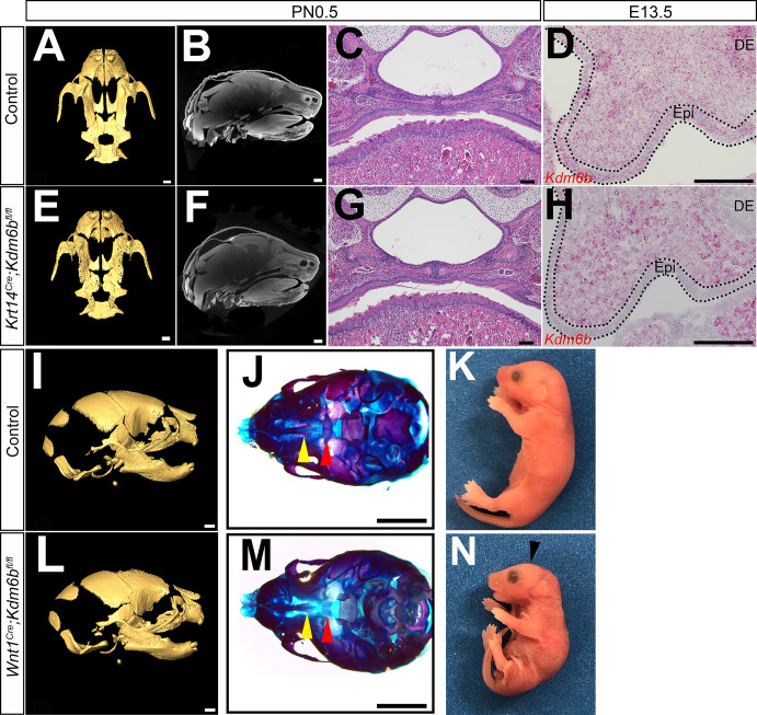 Figure 1—figure supplement 2.