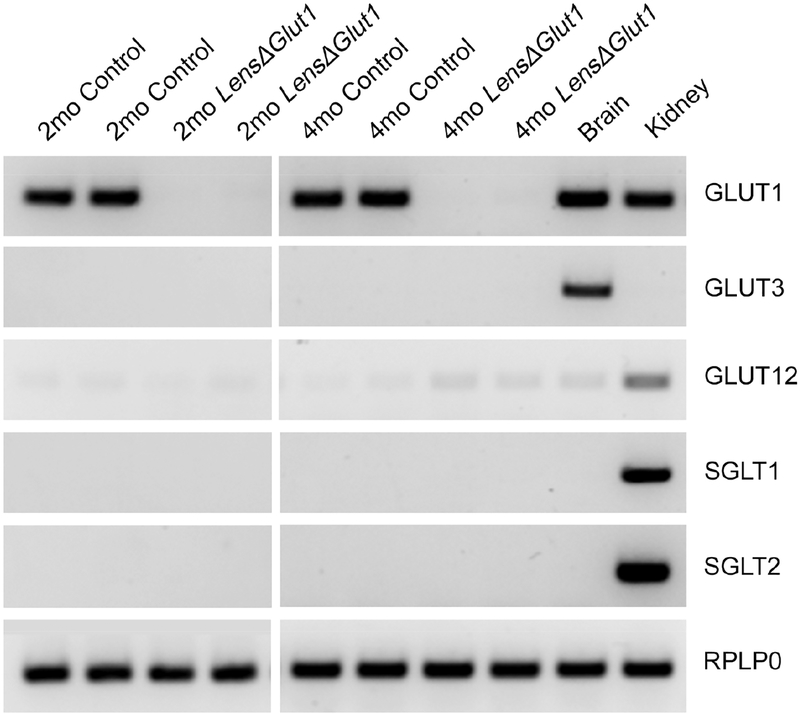 Figure 5: