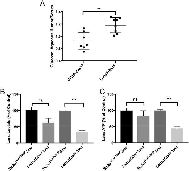 Figure 6: