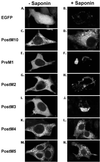 Fig 2.