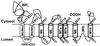 Fig 5.