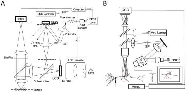 Figure 7