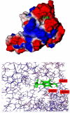 Figure 10