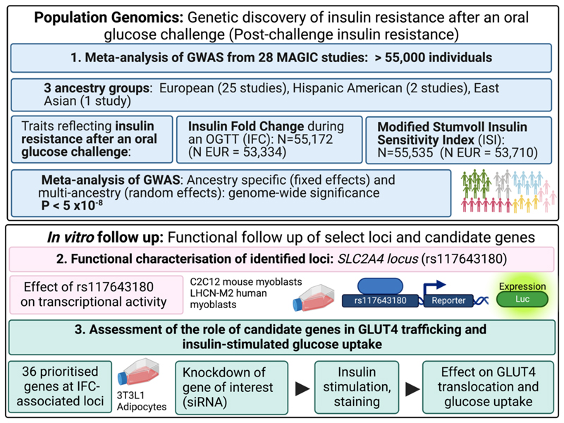 Extended Data Figure 1