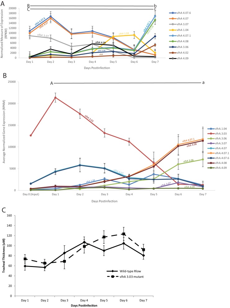 FIG 3