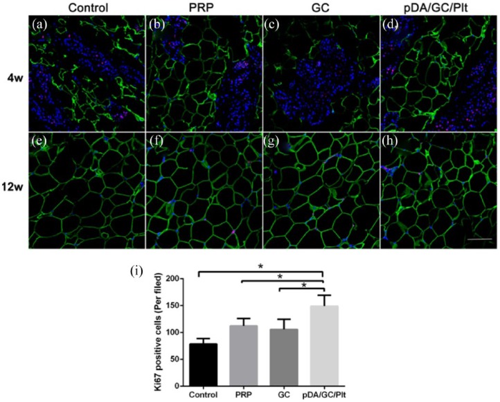 Figure 12.