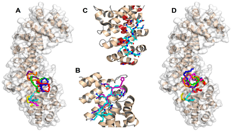 Figure 4