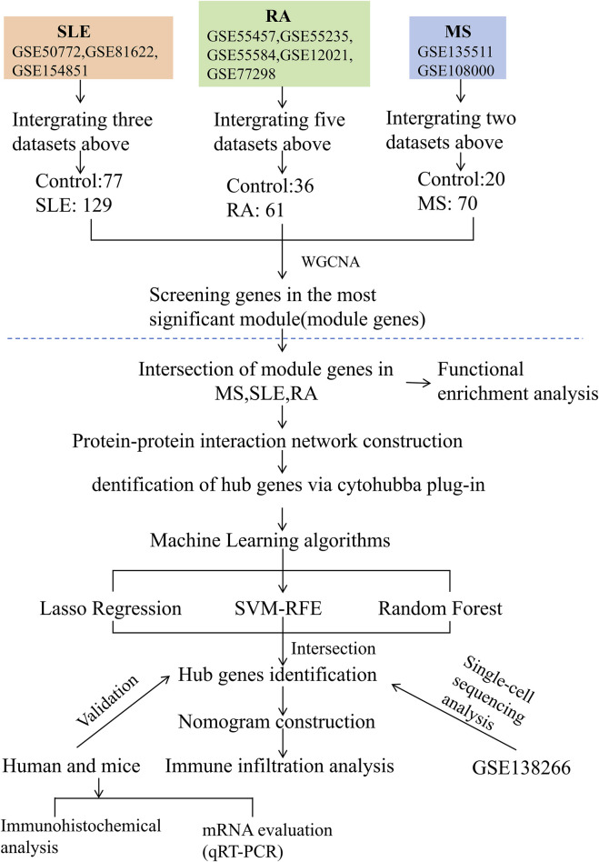 FIGURE 1