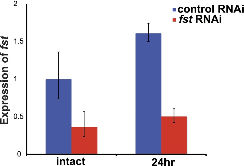 Figure 1—figure supplement 3.